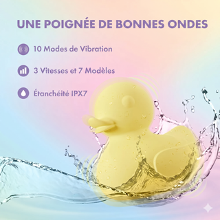 Splash Canard Vibrant