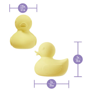 Splash Canard Vibrant